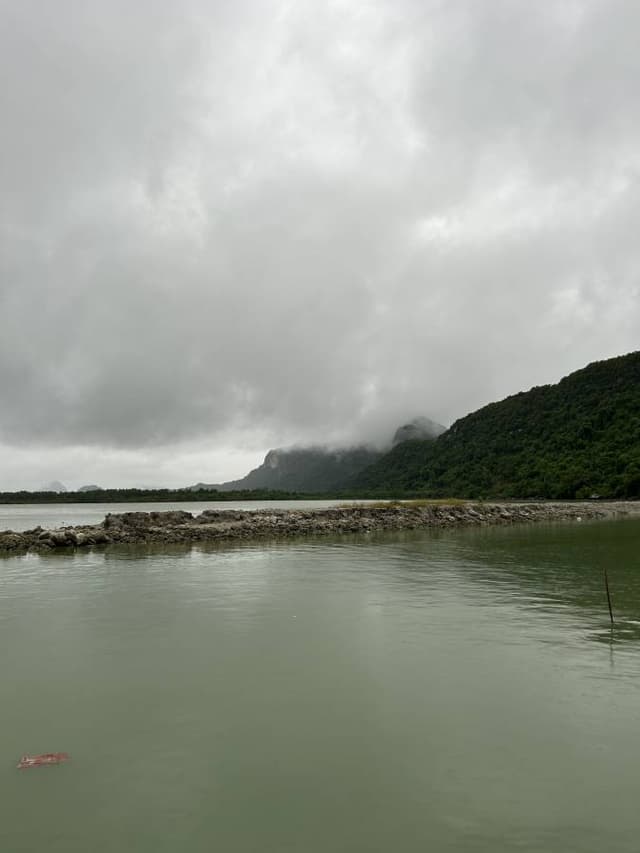 Photo 3 by Paul D. (10/26/25)