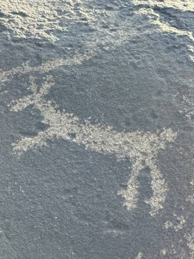 Photo 3 by Sal R. about renting a Honda CR-V in New Mexico (8/2/24)