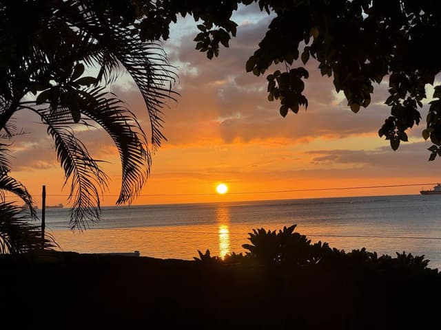 Photo 4 by Michael F. about renting a Suzuki Vitara at Mauritius Airport (1/16/25)
