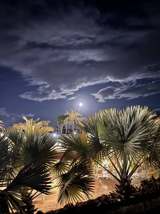 Foto 2 van shao na H. (4-3-26)