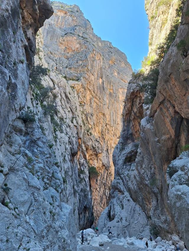 Photo 7 by Edit U. (4/13/26)