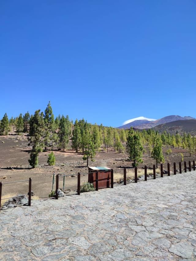 Zdjęcie 2 wykonane przez Krzysztof S. (23.09.22)