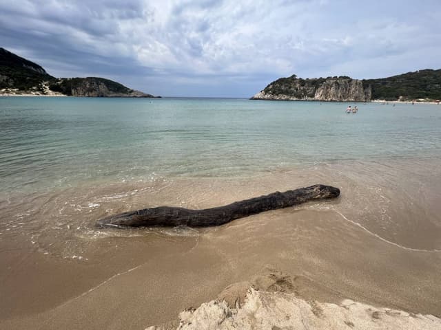 Foto 4 di Roberto R. (13/09/23)