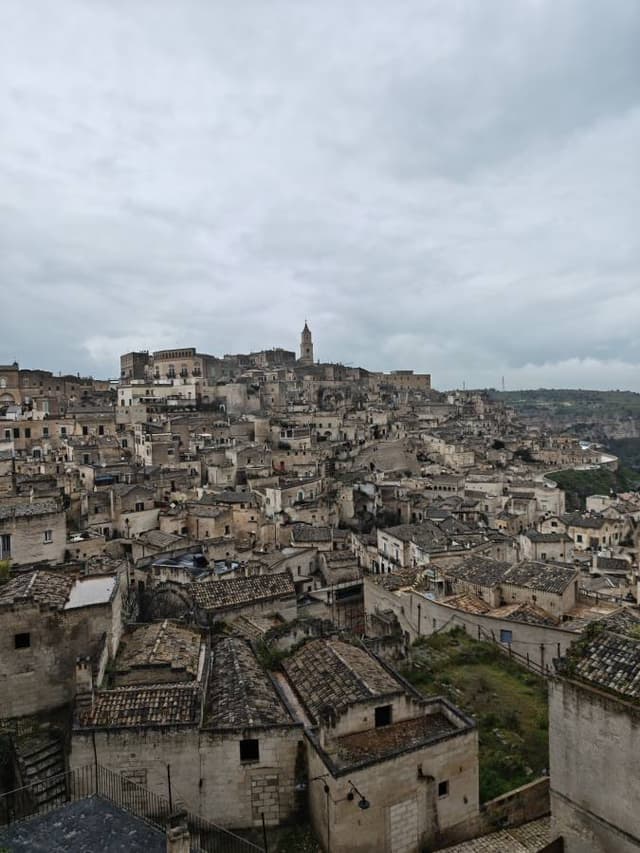 Zdjęcie 3 wykonane przez Sandra W. (22.03.26)