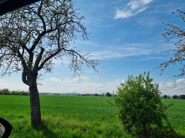 Photo 3 by Sagi A. about renting a Toyota Yaris Cross in Czech Republic (4/15/24)