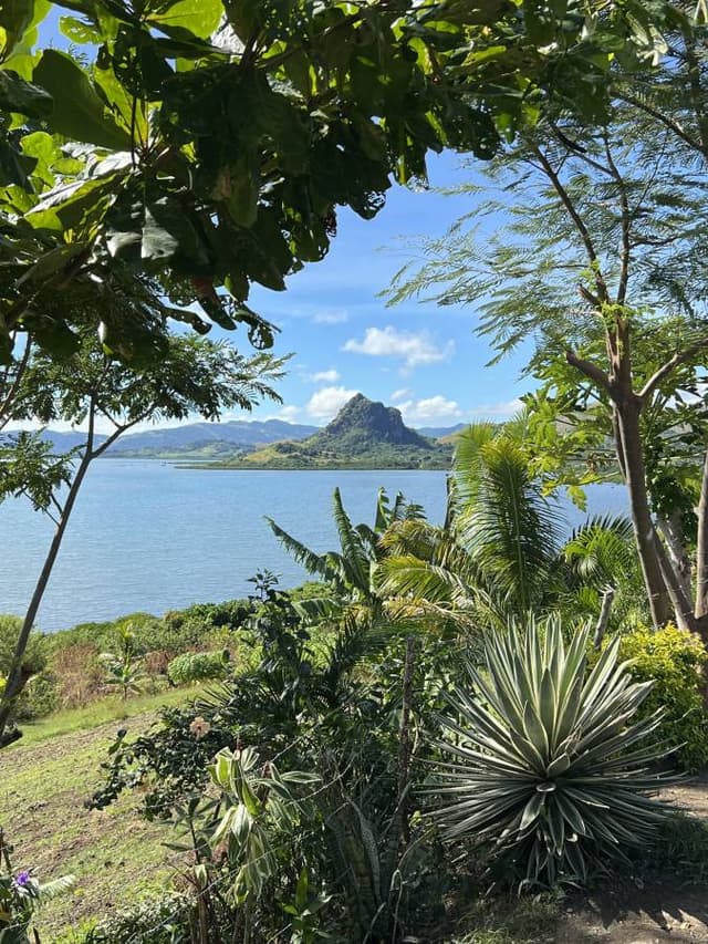 Photo 6 by Emily K. about renting a Honda Fit in Nadi (6/13/25)