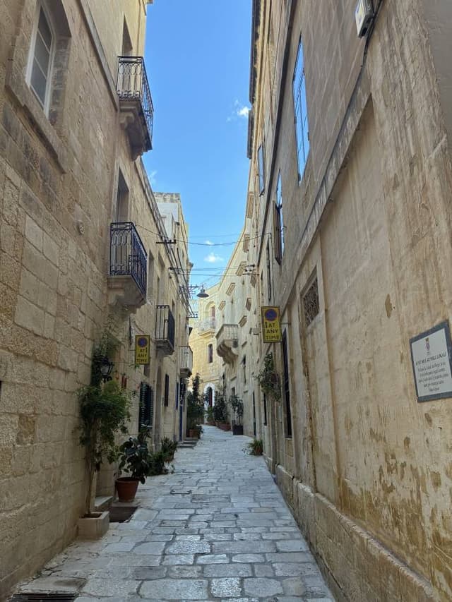 Zdjęcie 4 wykonane przez Marek W. (7.12.25)