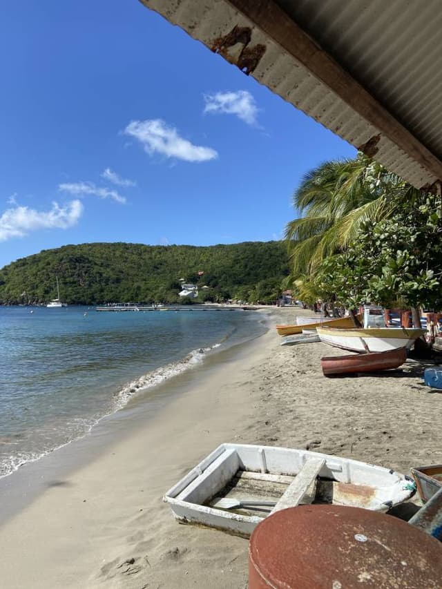 Foto 2 di CARLA P. (09/12/25)