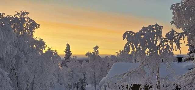 Foto 8 van Riette M. (25-1-26)