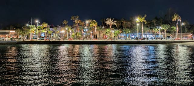 Photo 1 by Alan R. (8/9/26)