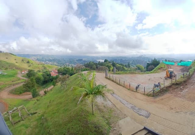 Photo 2 by pieter S. (2/17/26)