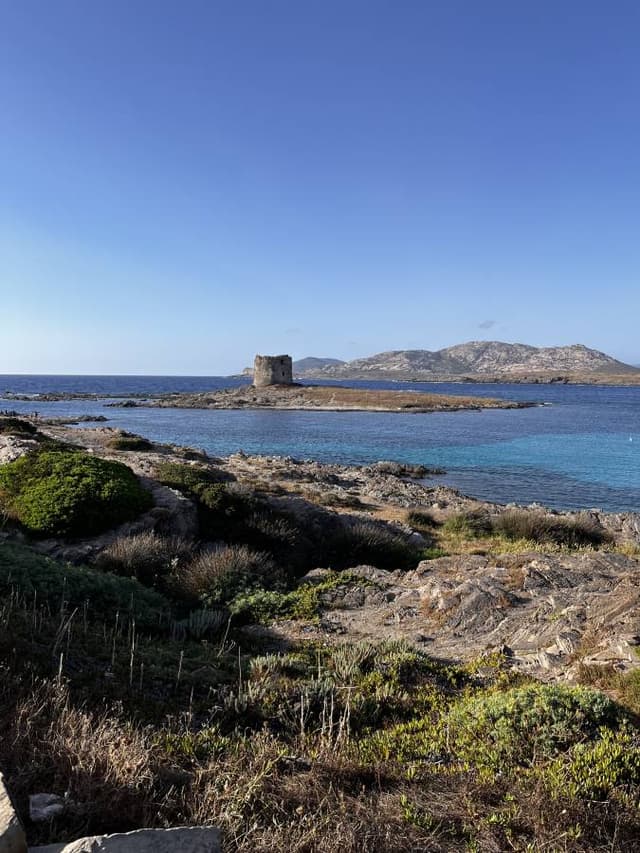 Foto 3 de Cristian D. sobre el alquiler de un Fiat 500 en Alguer (23/6/24)