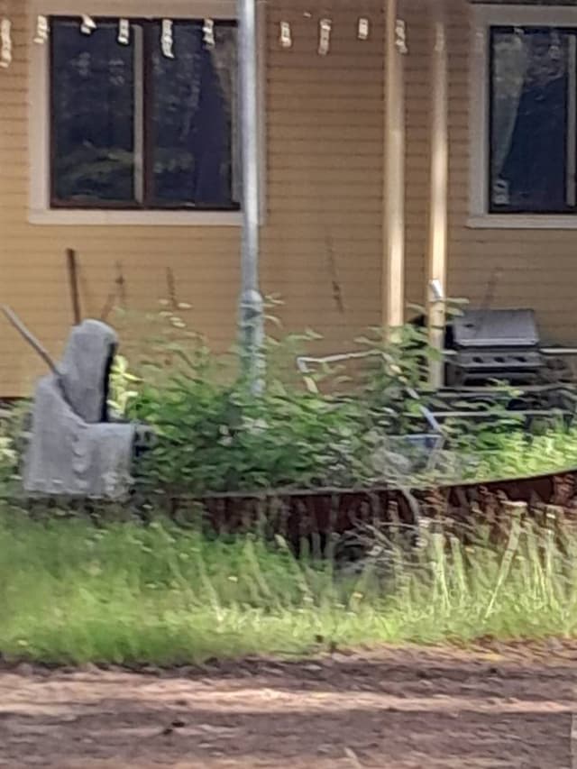 Henkilön teppo V. kuva 3 (16.7.24)