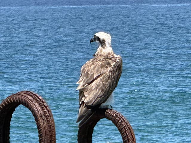 Foto 3 von Joachim C. (7.12.25)