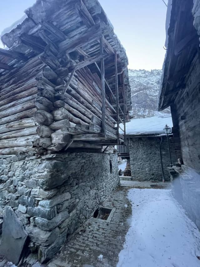 Photo by francesco G. (1/6/26)