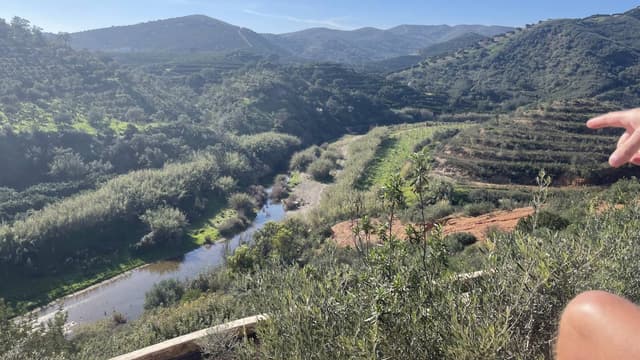 Foto 5 van Paul B. (29-2-24)