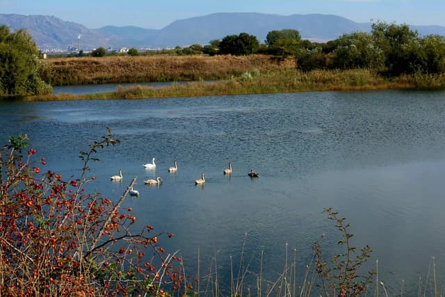 Фото 2 от Michael G. об аренде Renault Clio *Branded Vehicle* в Болгарии (15.10.25)