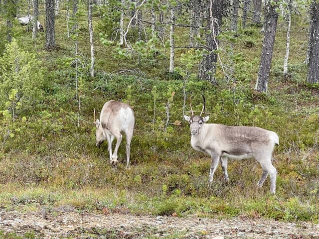 Photo 2 par Frederic Q. (19/10/25)