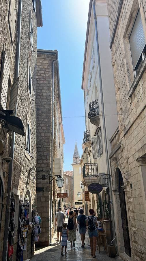 Fatih K. tarafından 3 fotoğraf (31.08.23)