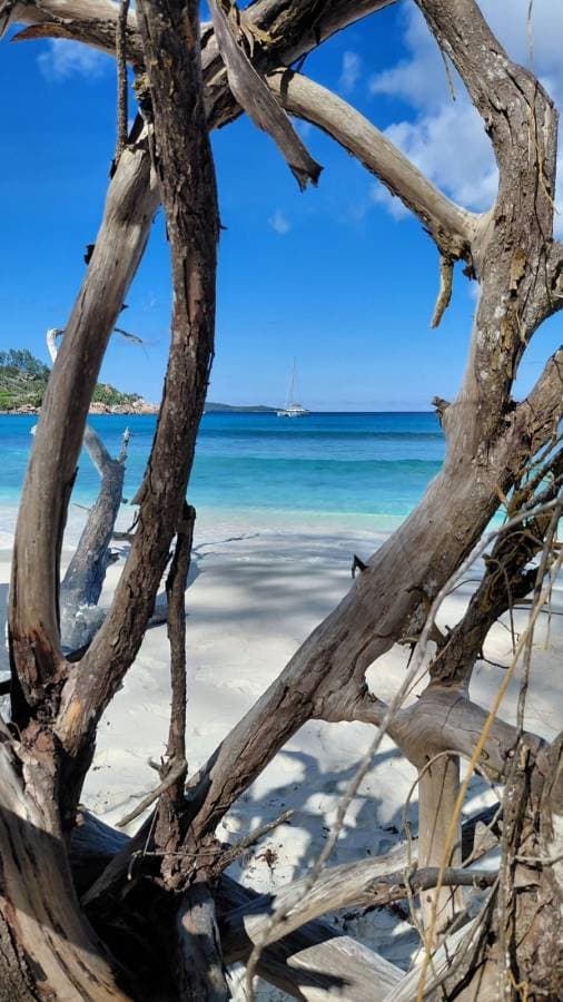 Foto 5 von Roland K. (3.4.26)