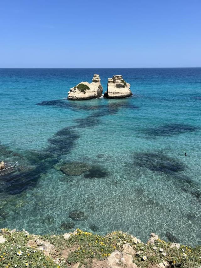 Photo 4 par Marine R. (19/05/26)