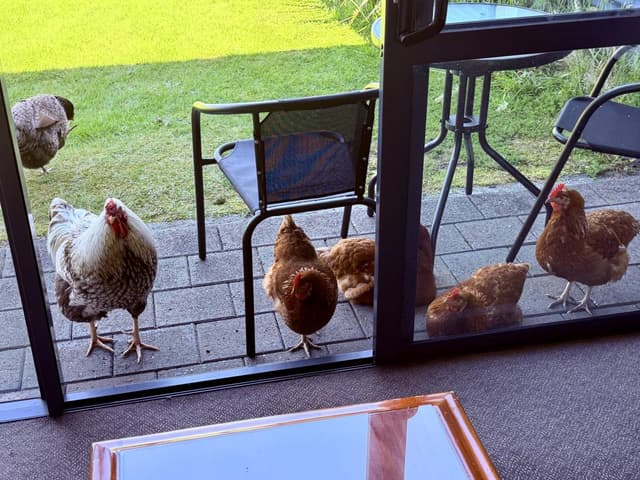 Photo 8 by Jacqueline R. (2/21/26)