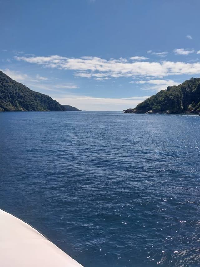 Photo 5 by Melissa W. about renting a Toyota Corolla in New Zealand (2/28/25)