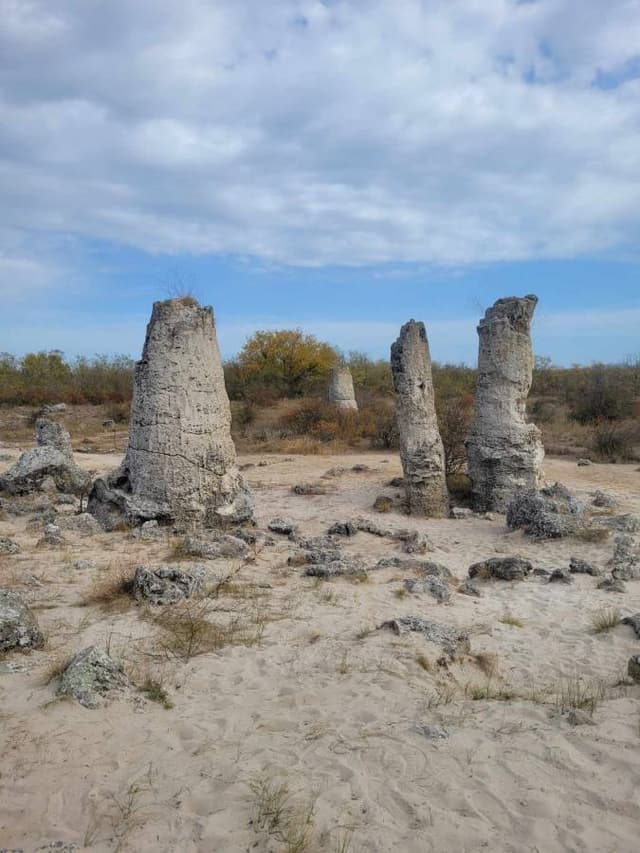 Zdjęcie 5 wykonane przez Monika M. (28.10.23)