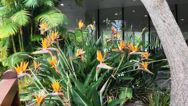 Photo 4 by Alain B. about hiring a Mazda Demio at Christchurch Airport (20/11/25)