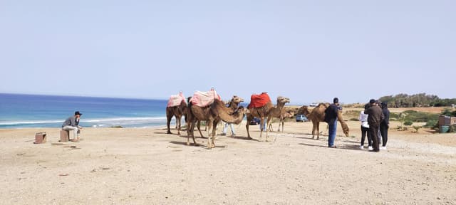 Foto de israel M. sobre el alquiler de un Dacia Sandero en Tánger (11/4/23)