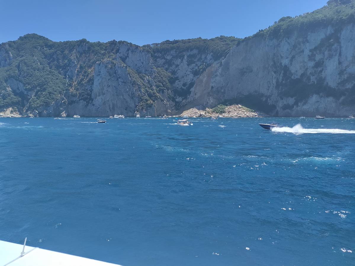 Photo 6 by Emma B. (7/8/24)