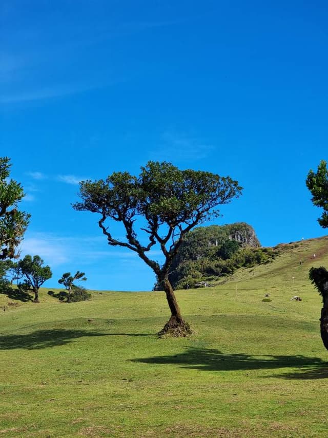 Foto 5 von Jairo A. über die Anmietung eines Fiat Panda auf Madeira (16.11.23)