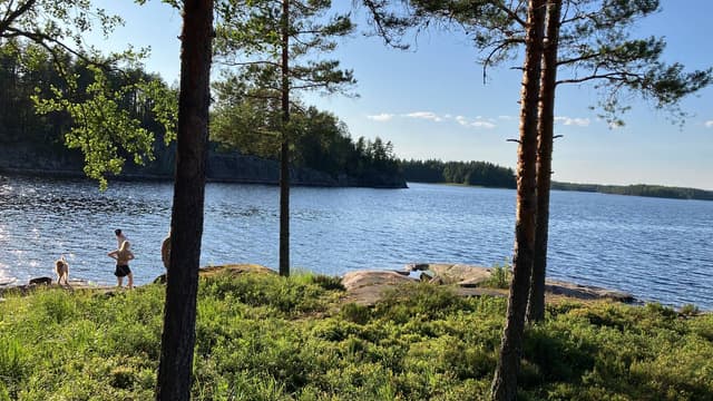 Photo 3 by Kaarlo H. about renting a Toyota Yaris at Helsinki Airport (7/22/25)
