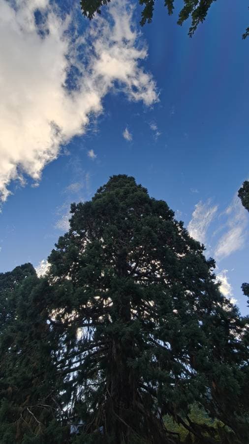 Photo 7 by Soong Heng Glenn Marc L. (3/23/26)