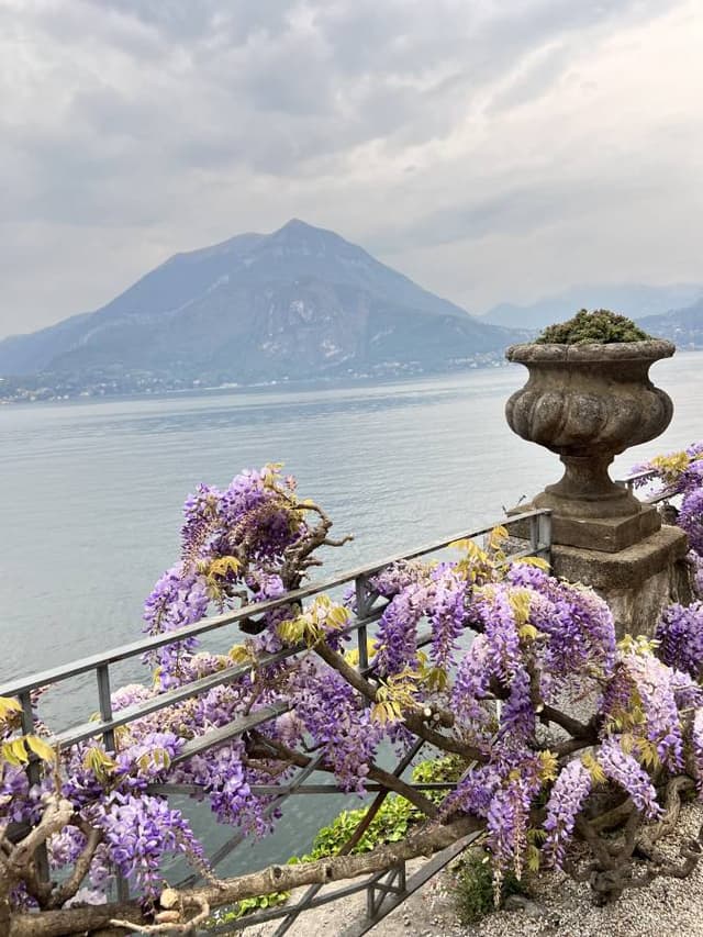 Photo 4 by Andreea P. (4/15/26)