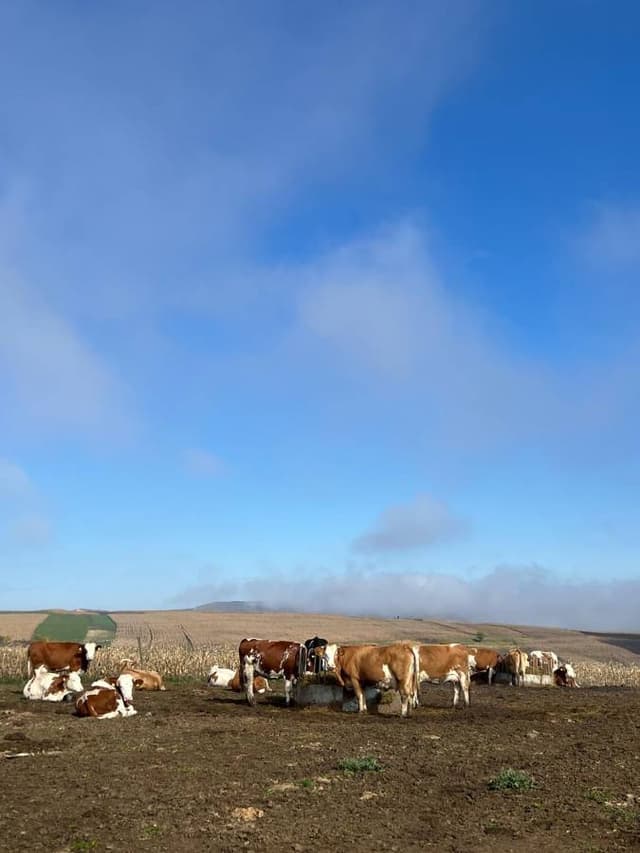 Foto 4 di Valentina M. (19/10/25)