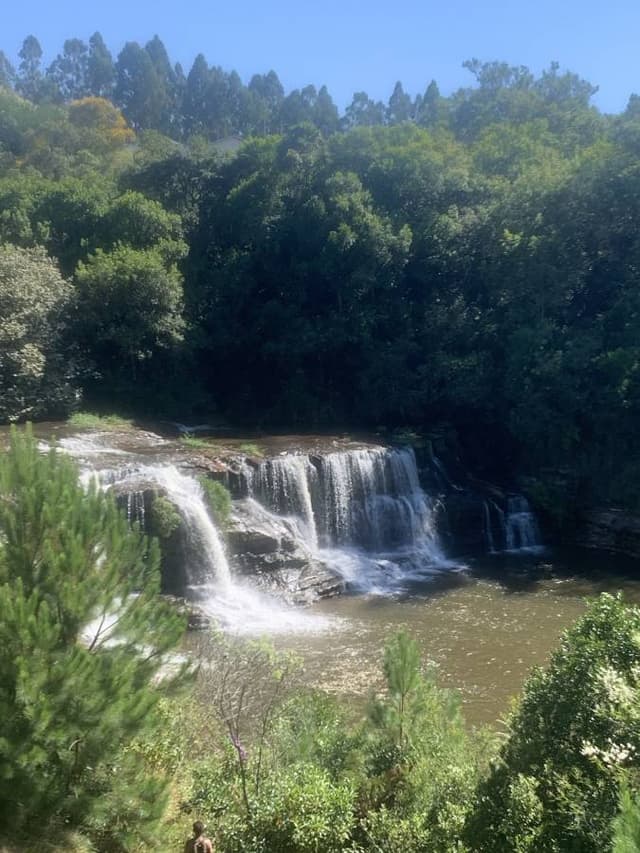 Foto 7 van Johannes Willem D. (20-2-24)