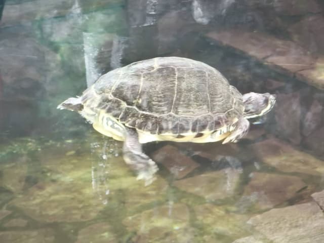 Foto 5 van Jochen W. (26-9-25)