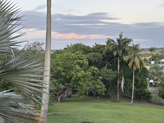 Photo 5 by Carol L. about renting a Renault Captur at Pointe a Pitre Airport (6/9/25)