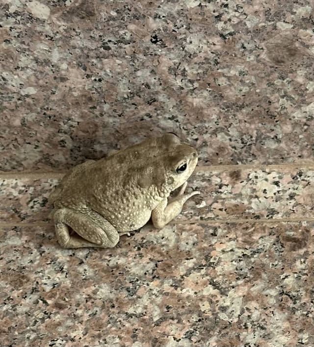 Foto 7 van Jan V. (2-5-25)