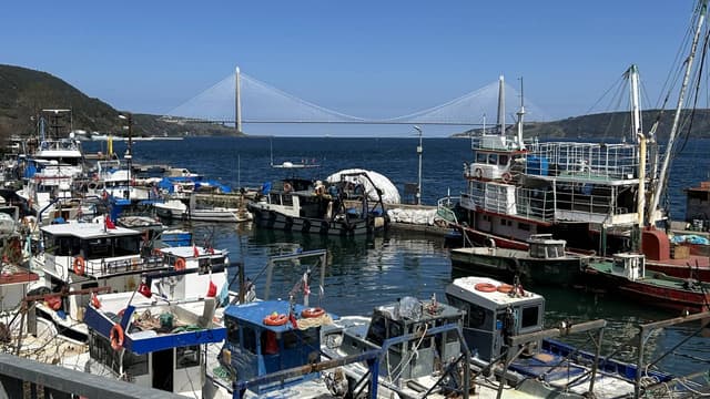 Photo 2 by Mir Saeid H. (4/14/26)