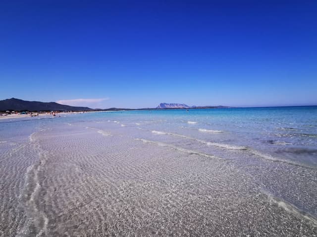 Photo 5 by Lisstette Nataly P. about renting a Fiat Panda in Alghero (5/2/25)