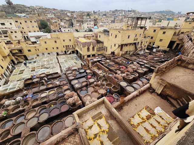 Foto 8 di Daniel D. (19/01/24)