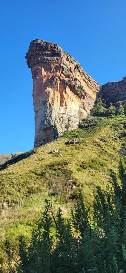 Photo 8 par Raymond L. (06/03/26)