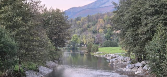 Foto 2 de Janett S. (27/10/25)