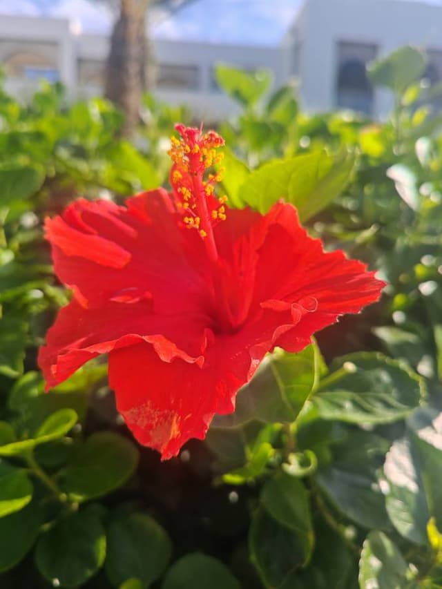 Photo 5 by Mohommed M. (10/31/25)