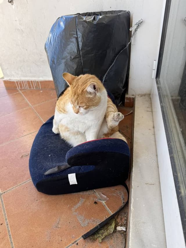 Billede 4 af Per A. om at leje en Toyota Aygo i Kreta Lufthavn Chania (4/19/25)