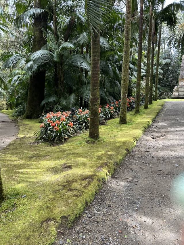 Foto 6 de Ana Cristina C. sobre o aluguer de um Kia Picanto em Ponta Delgada (11/05/25)