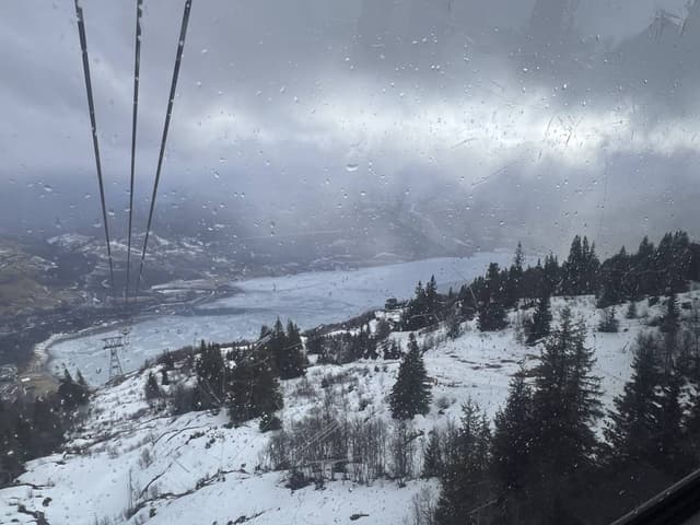 Photo 2 by Teresa J. about hiring a Toyota ProAce City in Norway (23/03/26)