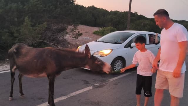 Ali A. tarafından 4 fotoğraf (27.07.26)